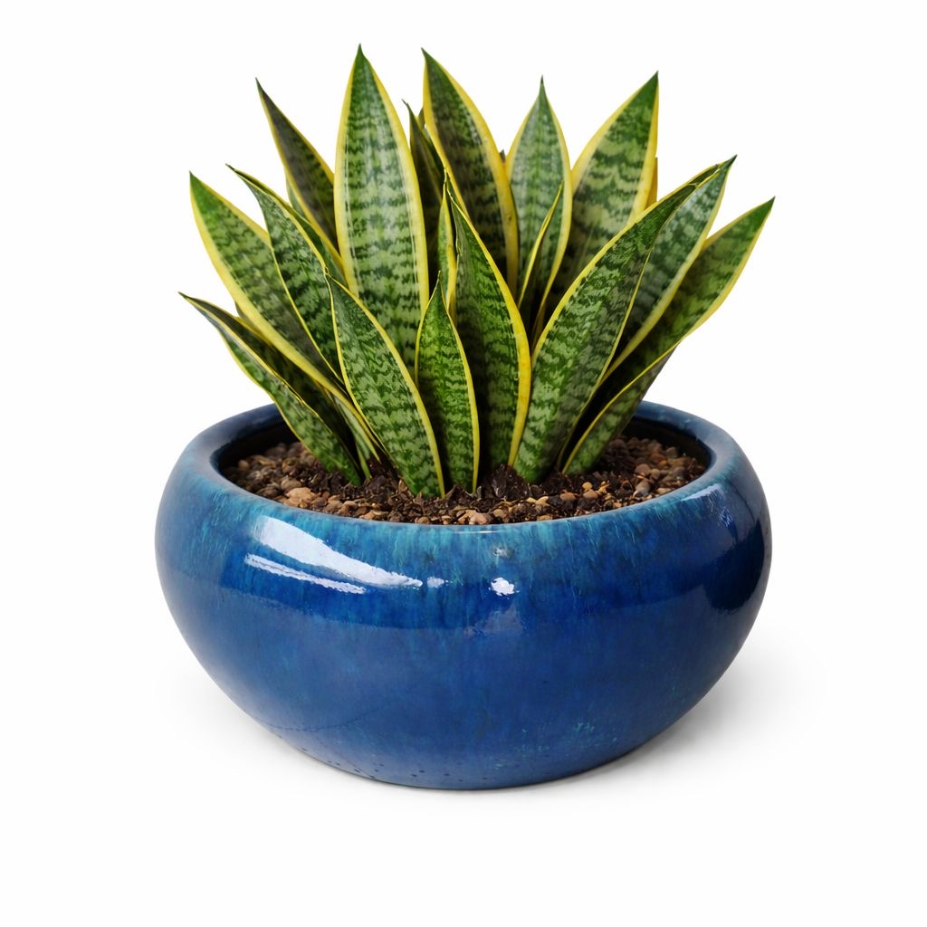 Cachepot cerâmica azul com pintura automotiva